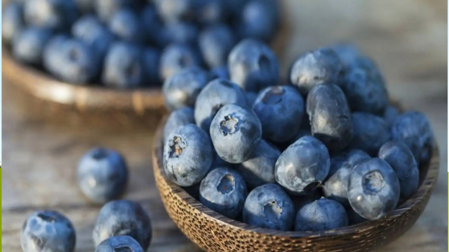 Arándanos peruanos rumbo a una campaña histórica Revista Industria Alimentaria Arándanos peruanos rumbo a una campaña histórica Revista Industria Alimentaria